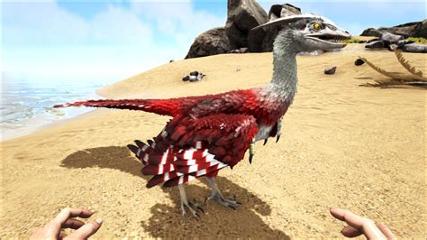 Ark microraptor - Jan 29, 2021 · Everything you need to know about the Microraptor! How they act in the wild, best way to tame them and how to use them when tamed! :DSubscribe for more!Disco... 